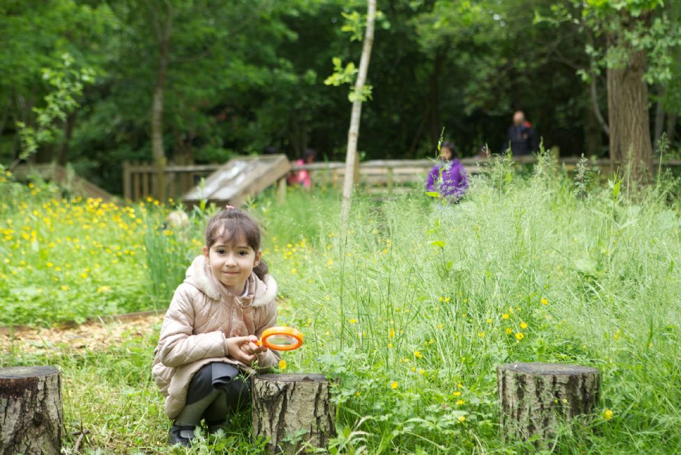 Three Bridges Primary School Forest Schools